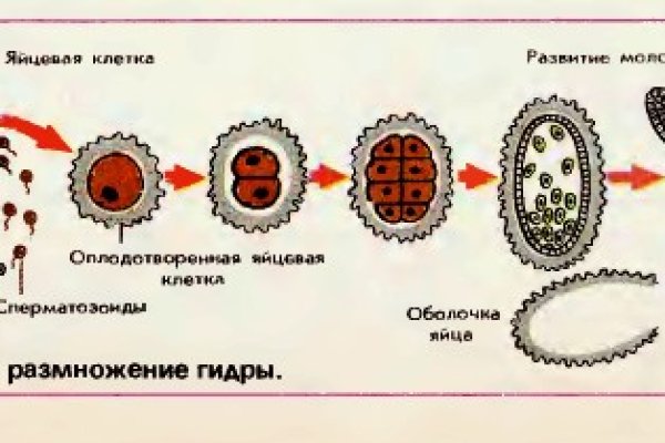 Кракен сайт даркнет зеркало