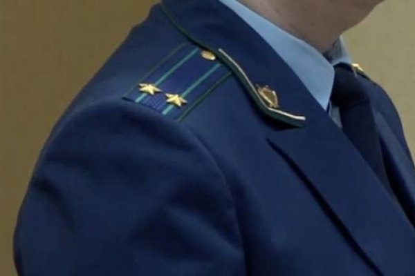 Гидра и кракен