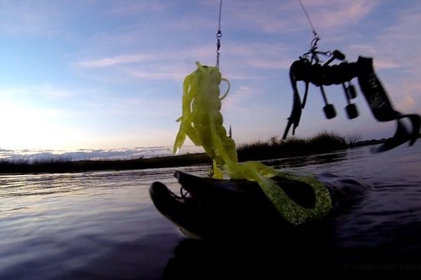 Kraken 18at
