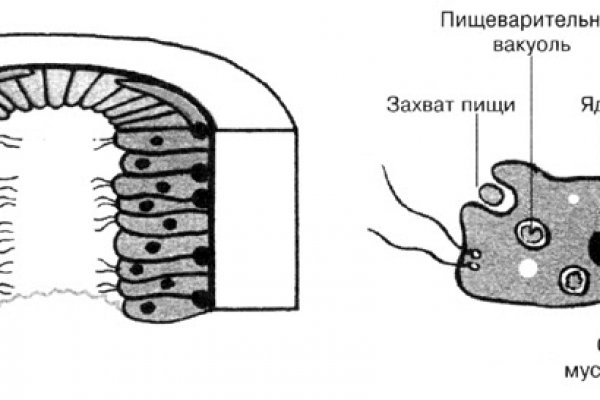 Восстановить аккаунт на кракене