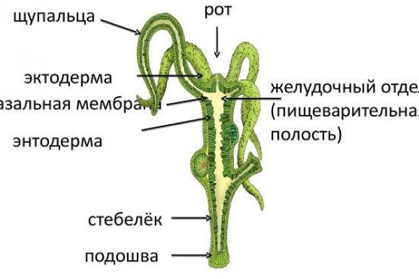 Клир ссылка на кракен 2025
