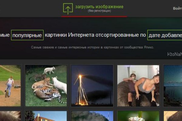 Kraken что это такое