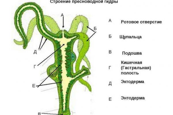 Кракен сайт