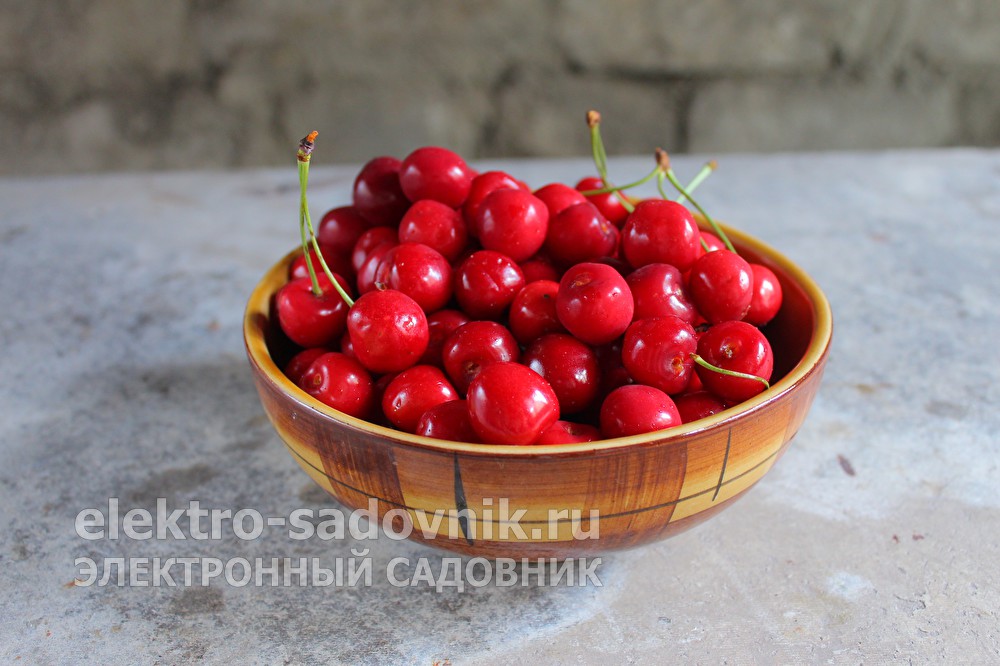 Кракен не грузит