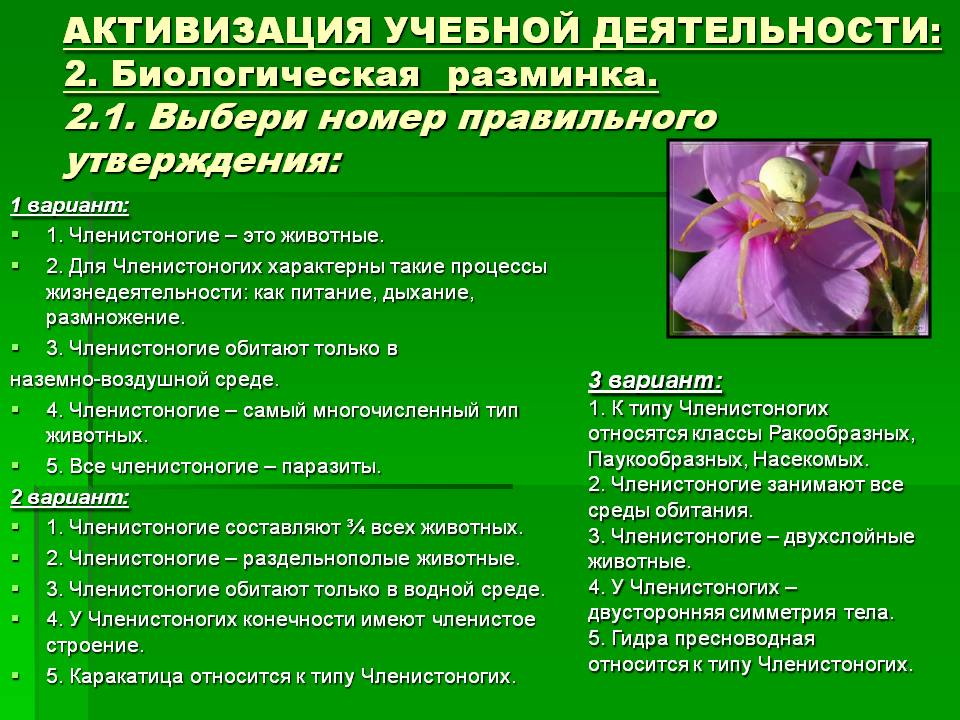 Кракен клирнет ссылка