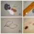 DIY զգացմունքային արհեստ. Բրոշ «Ladybug» - Վարպետության դաս